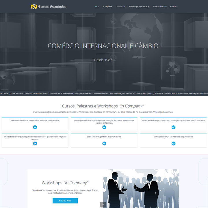 Criação de Site Nicoletti Associados
